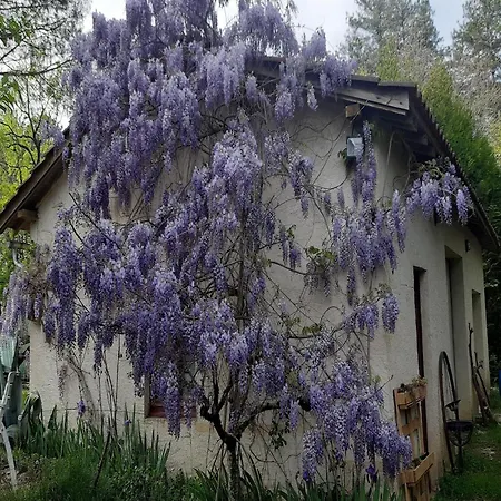 Σπίτι διακοπών Lovely In Le Moustier With Terrace Peyzac-le-Moustier
