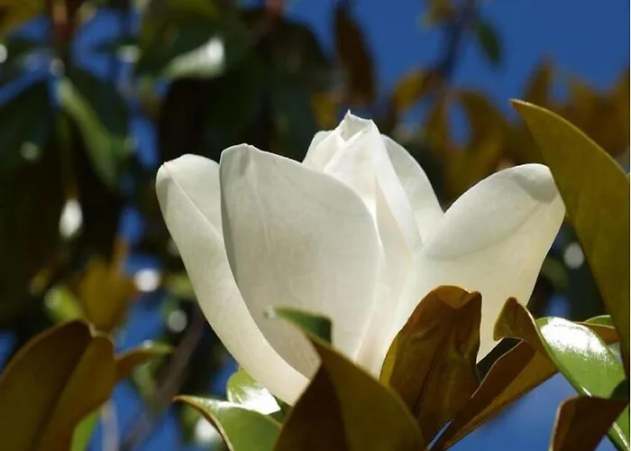 Σπίτι διακοπών Lovely In With Terrace *