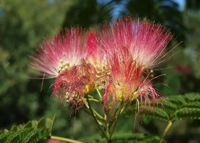 Lovely In With Terrace Peyzac-le-Moustier