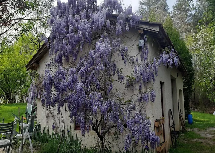 Σπίτι διακοπών Lovely In With Terrace Peyzac-le-Moustier